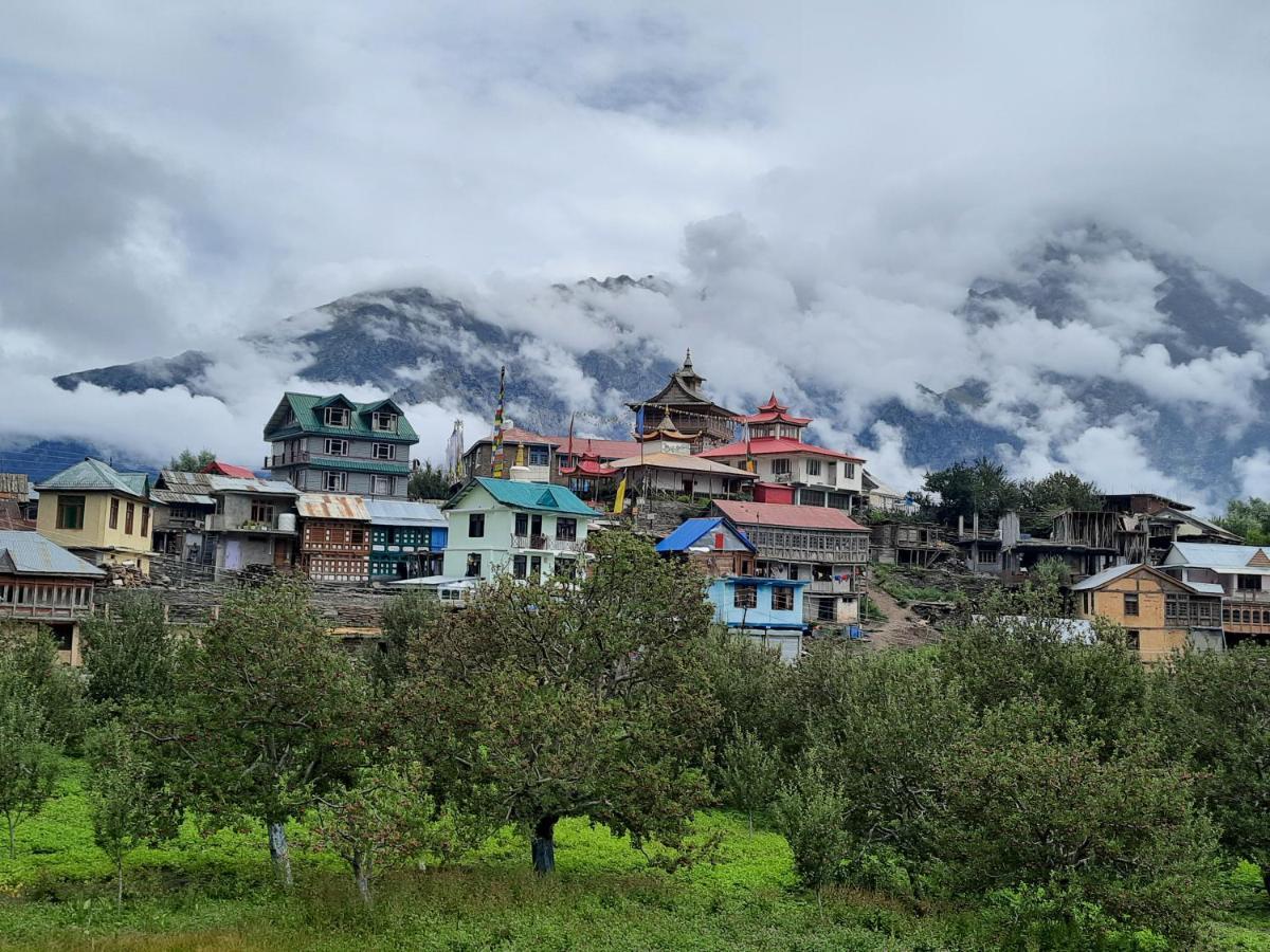 Wanderers Homestay -All Mountain Facing Rooms Kalpa Exterior photo