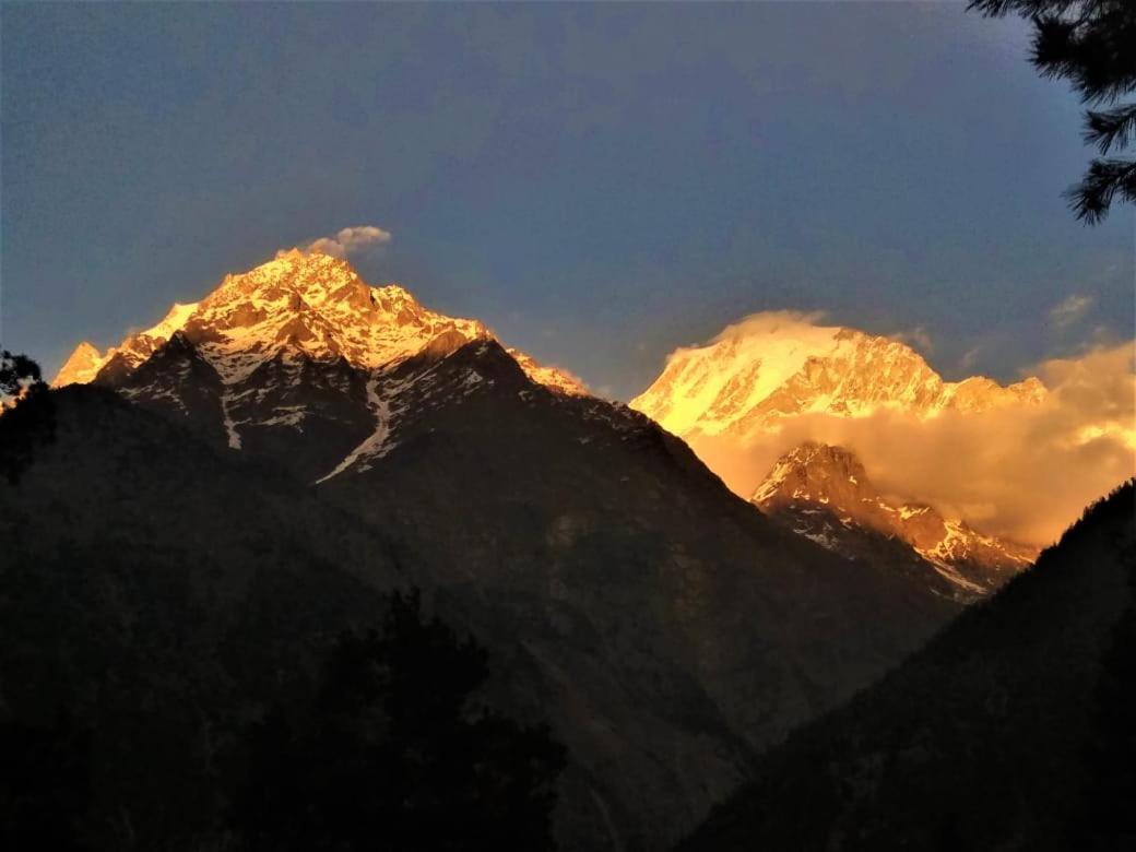 Wanderers Homestay -All Mountain Facing Rooms Kalpa Exterior photo